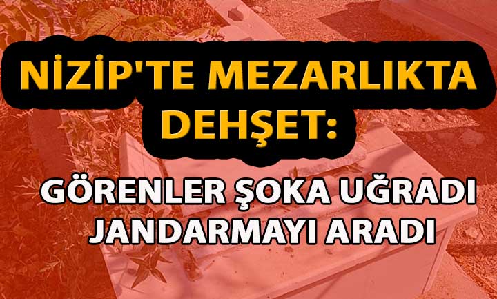 Nizip’te Mezarlıkta Dehşet: Görenler Şoka Uğradı; Hemen Jandarmayı Aradı