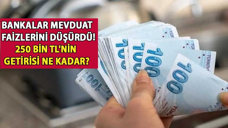 Bankalar Mevduat Faizlerini Düşürdü, İşte 250 Bin TL’nin Getirisi!